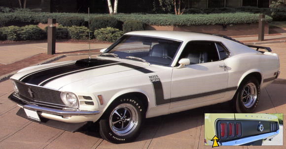 1970 Boss 302 Mustang Side and Trunk Stripe Decal Kit