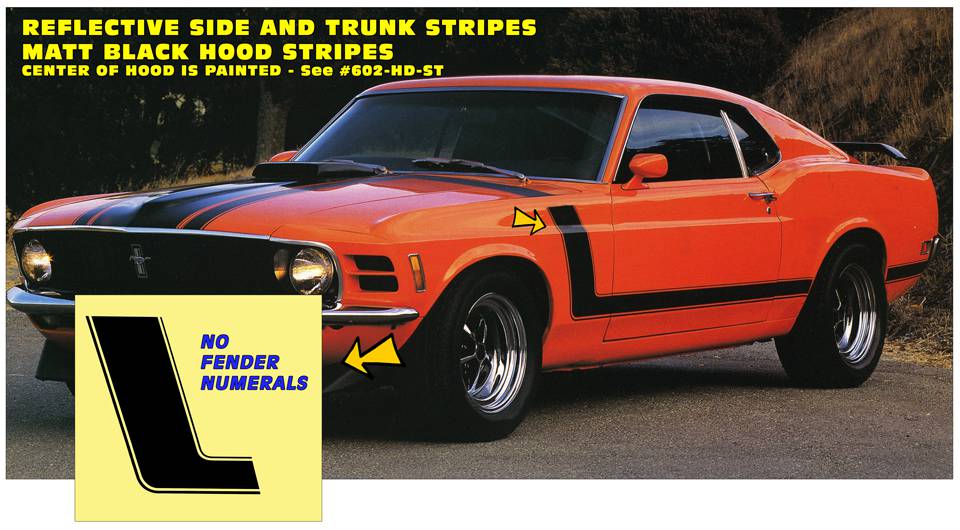 1970 Mustang Boss 302 Custom Stripe No Name