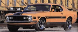 1970 Mustang Mach 1  - Twister Special Stripe Decal Kit