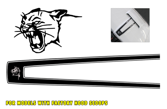 Decalcomania Tubo Obliquo COUGAR – Adesivo Vintage Per Bici Da Corsa, Look Americano
