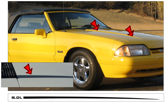 1987-93 Mustang Hood Pinstripe with 5.0L Numeral - Graphic Express Automotive Graphics