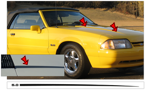 1987-93 Mustang Hood Pinstripe with 5.0 Numeral