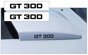 2005-09 Mustang Hood Scoop Decal Set - GT300 Name