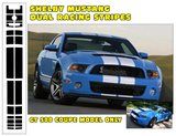2010-2014 Mustang Shelby GT500 Lemans Racing Stripe Decal Kit - Coupe