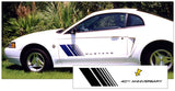 2004 Mustang Fader Decal Set - 40TH Anniversary - Graphic Express Automotive Graphics