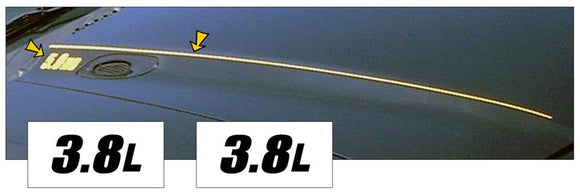 1994-98 Mustang Hood Cowl Stripe and Decal Set - 3.8L Name