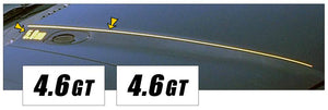 1994-98 Mustang Hood Cowl Stripe and Decal Set - 4.6 GT Name