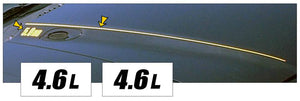 1994-98 Mustang Hood Cowl Stripe and Decal Set - 4.6L Name