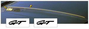 1994-98 Mustang Hood Cowl Stripe and Decal Set - GT Name