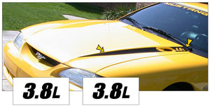 1994-98 Mustang Hood Wide Cowl Stripe and Decal Set - 3.8L Name