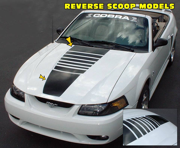 1999-04 Mustang  Graphic Express Automotive Graphics