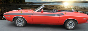 1971 Dodge Challenger Upper Body Side Stripe Decal- No Designation