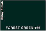 COLOR SAMPLE - 3M FORREST GREEN #66 (FGN)